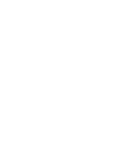 Main Logotype